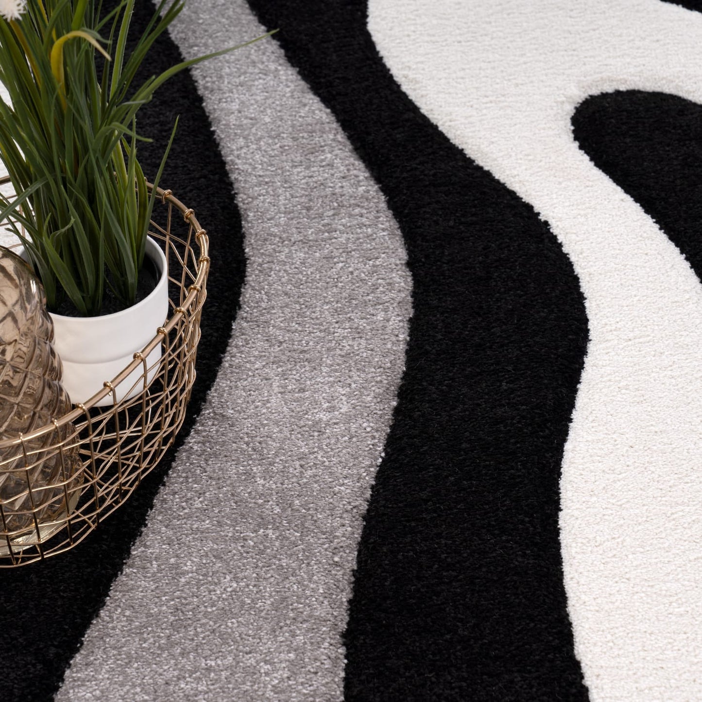 Luxurious Black Indoor Rug with Soft Pile