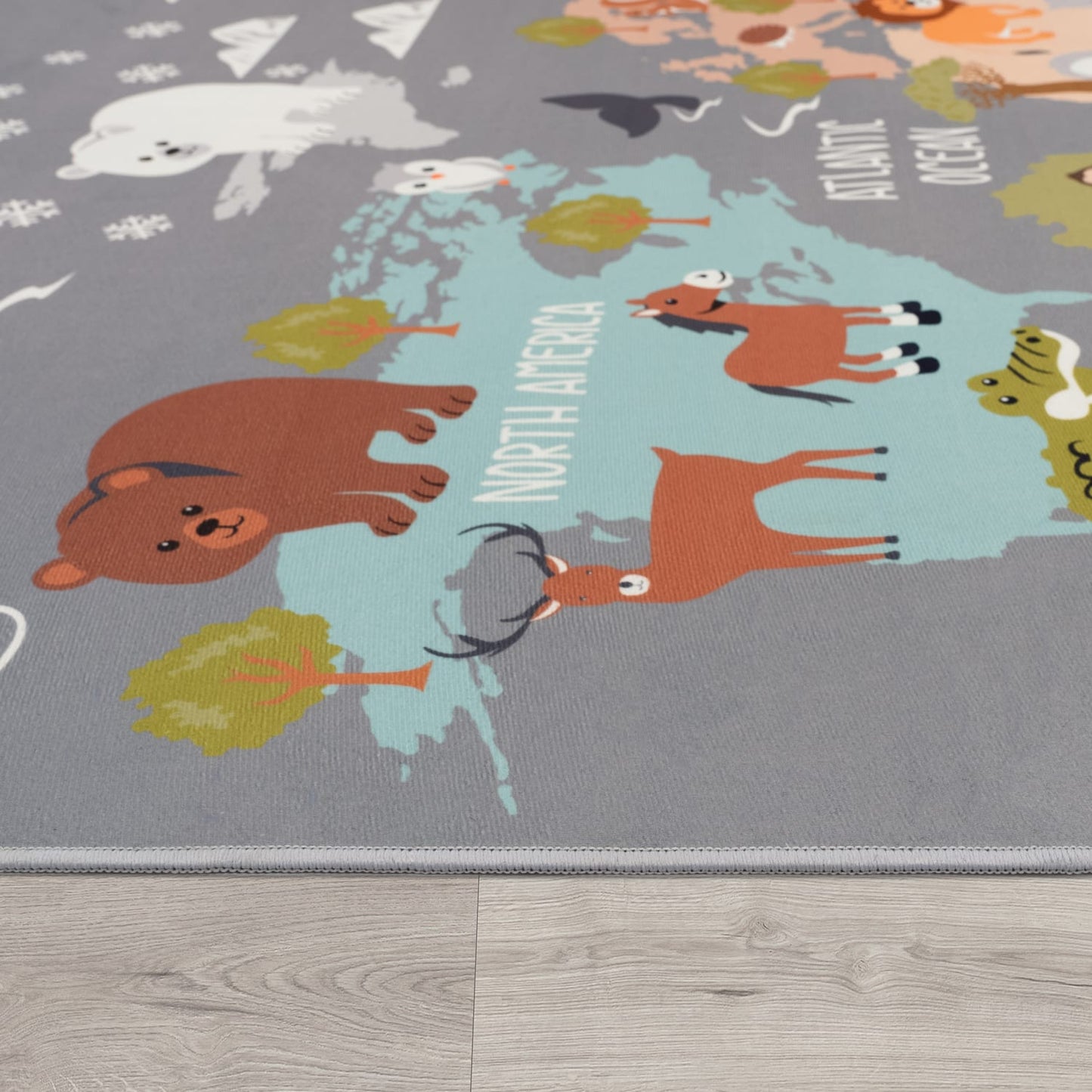 Gray Interior Rug Smooth Low Profile Felt Backing