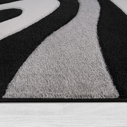 Luxurious Black Indoor Rug with Soft Pile