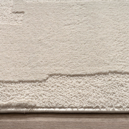 Cream Plush Indoor Rug with Cotton Backing